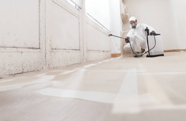 24/7 Emergency Black Mold Remediation experts in Manchester, MI