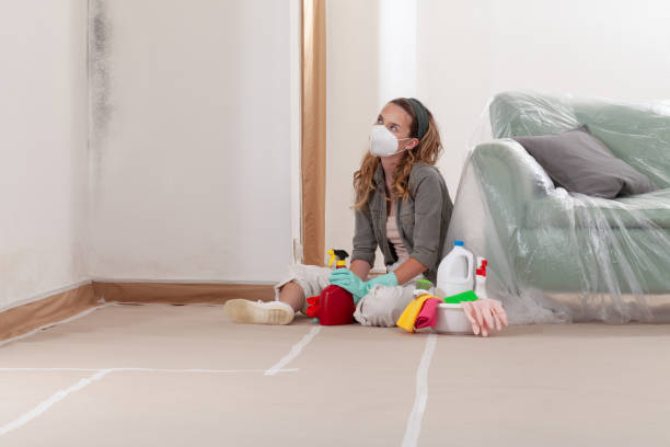 Reliable Black Mold Remediation contractor in Manchester, MI by Car Mold Remediation
